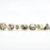 Skulls & Moss set of 7 dice