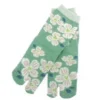 Socks Two-toe Tabi Hanamizuki (Flower Cool Green)