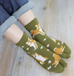 Socks Two-toe Tabi Hanashiba (Dog)