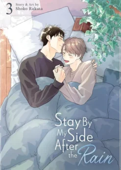 Stay By My Side After the Rain Vol. 3