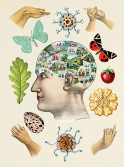 The Antiquarian Sticker Book