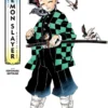 The Art of Demon Slayer Kimetsu no Yaiba