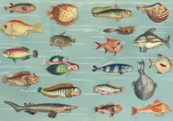 The Curious Collections Sticker Book
