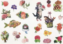 The Curious Collections Sticker Book