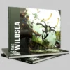 The Wildsea Core Rules
