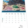 Tintin Calendar 2027