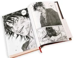 Vagabond Definitive Edition, Vol. 1
