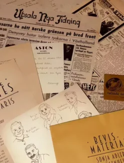 Vintage Mysteries: Stella Polaris