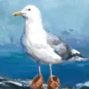 Vykort - Seagull