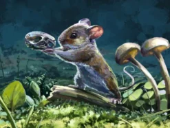 Vykort - Thespian Rodent