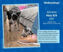 WeRateDogs 2027 Day-to-Day Calendar