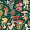 World of Mushrooms Puzzle 1000 pcs
